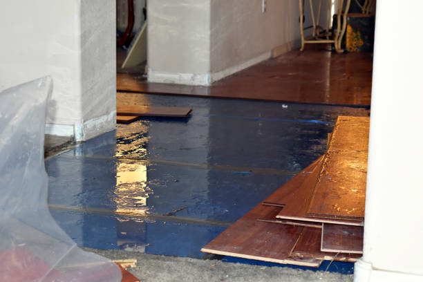 Professional Basement Flood Cleanup technician working in Saint Clair Shores, MI