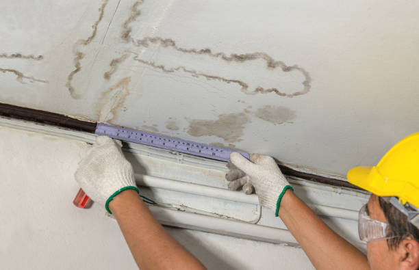 Reliable Basement Flood Cleanup contractor in Saint Clair Shores, MI by Aqua Guard Water Damage